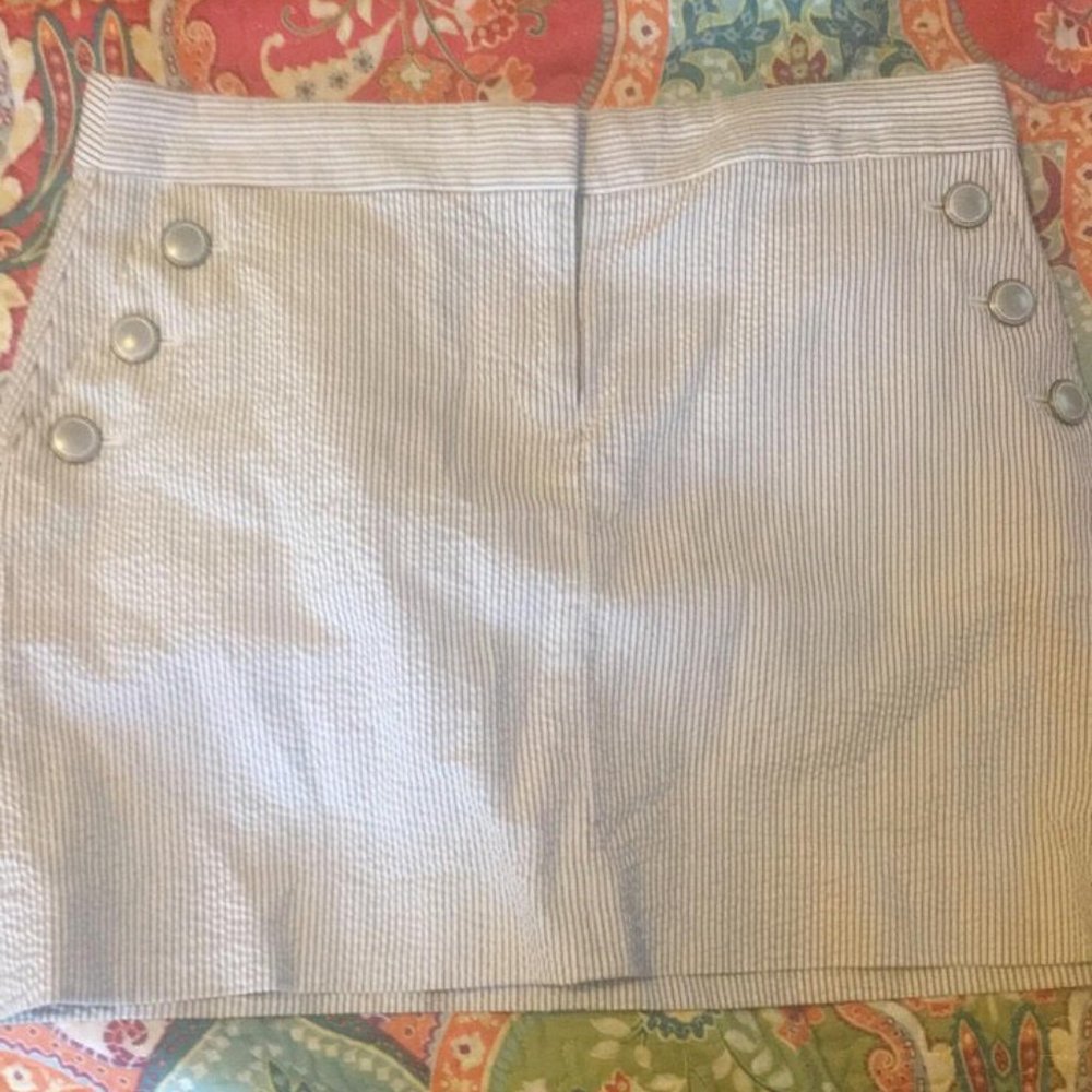 J. Crew Skirt